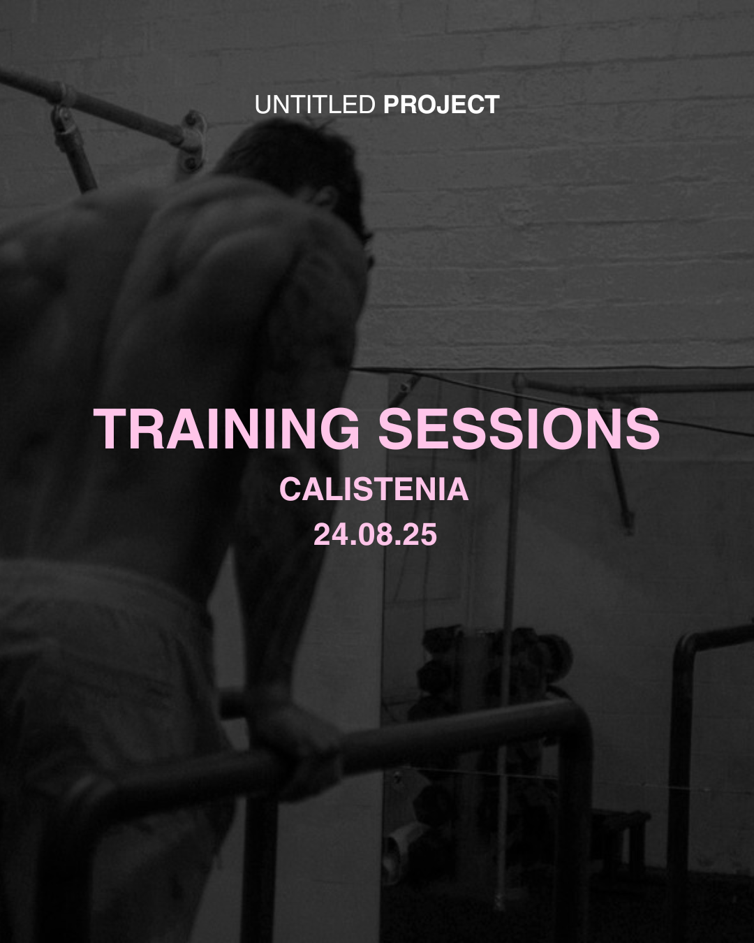 Taller Calistenia